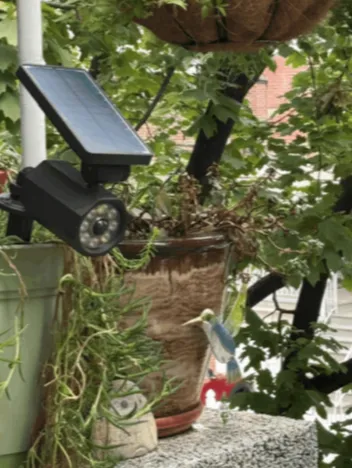 bionic spotlight customer review